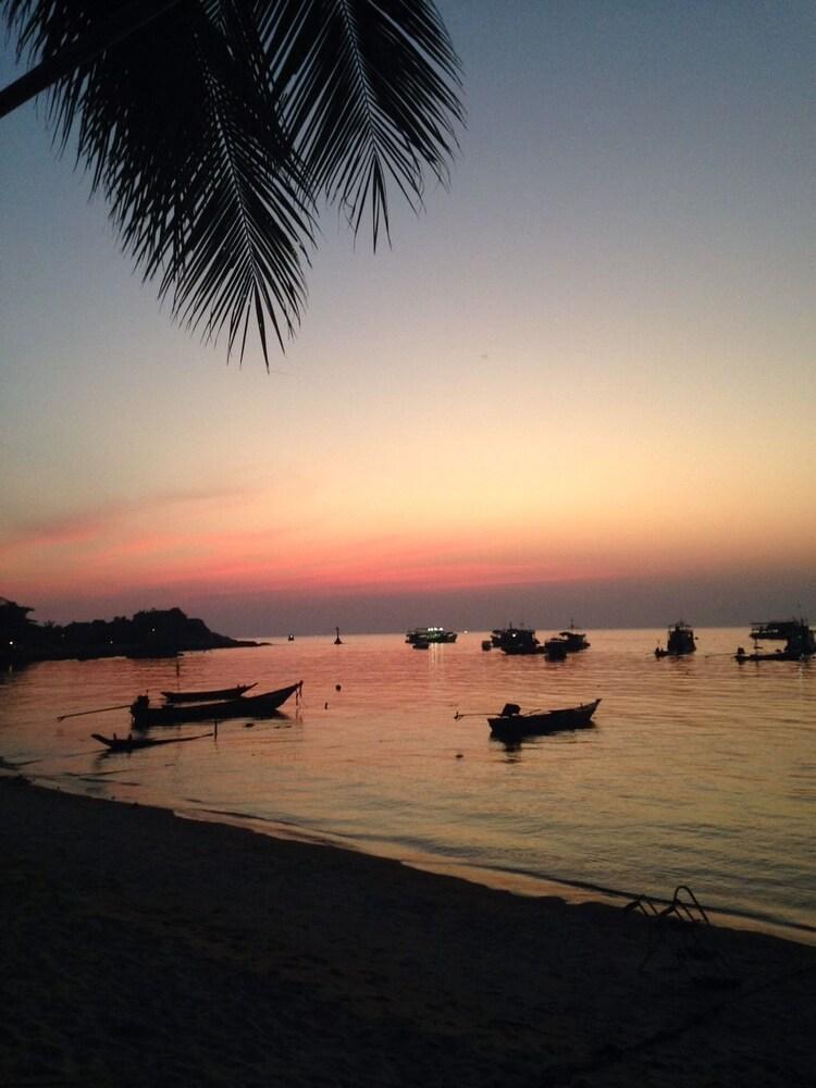 Save Bungalows,Koh Samui>>Ko Tao,3 star