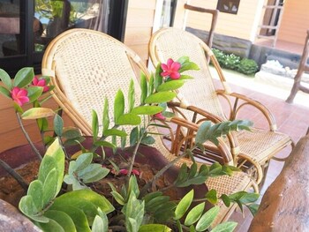 Chomview Resort,Ko Lanta>>Klong Dao Beach,4 star