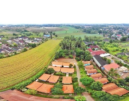 Donut Resort,Chiang Rai>>Ban Dong Ma Tun,3 star