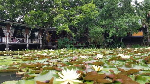 saikaew resort