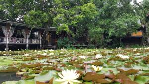 saikaew resort