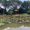 saikaew resort