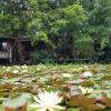saikaew resort