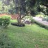 chiang rai