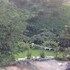 ruen roylanna resort