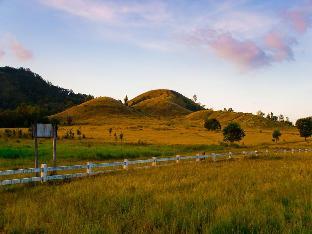 petch ranong at town