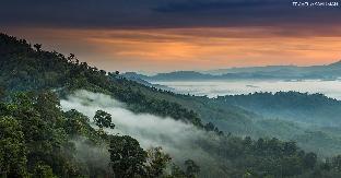 petch ranong at town