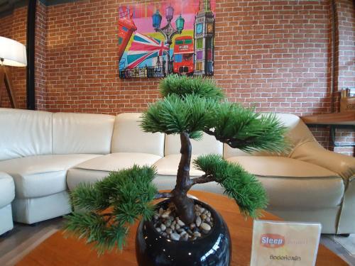 sleep airport chiang mai