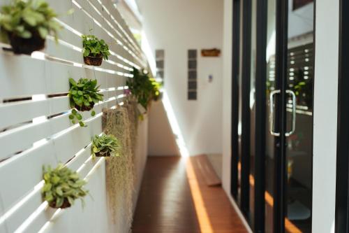 Ten Boutique House (Adults Only),Chiang Mai Province>>Chiang Mai,3 star