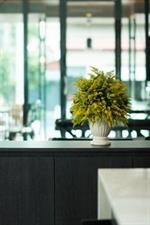 wealth boutique hotel