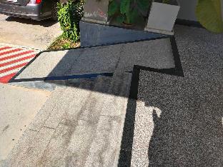 the precious apartment adults only