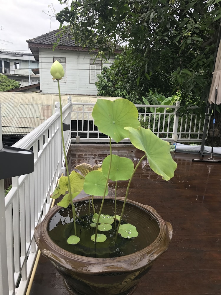 baan kachitpan adults only