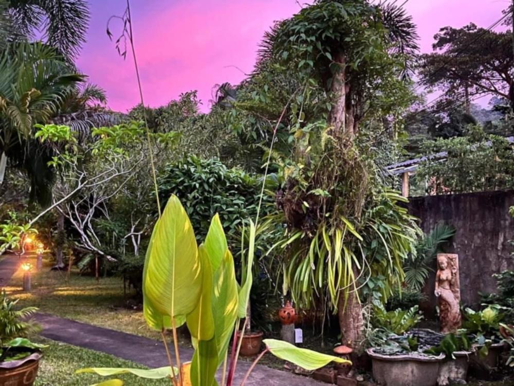 sanook sanang resort