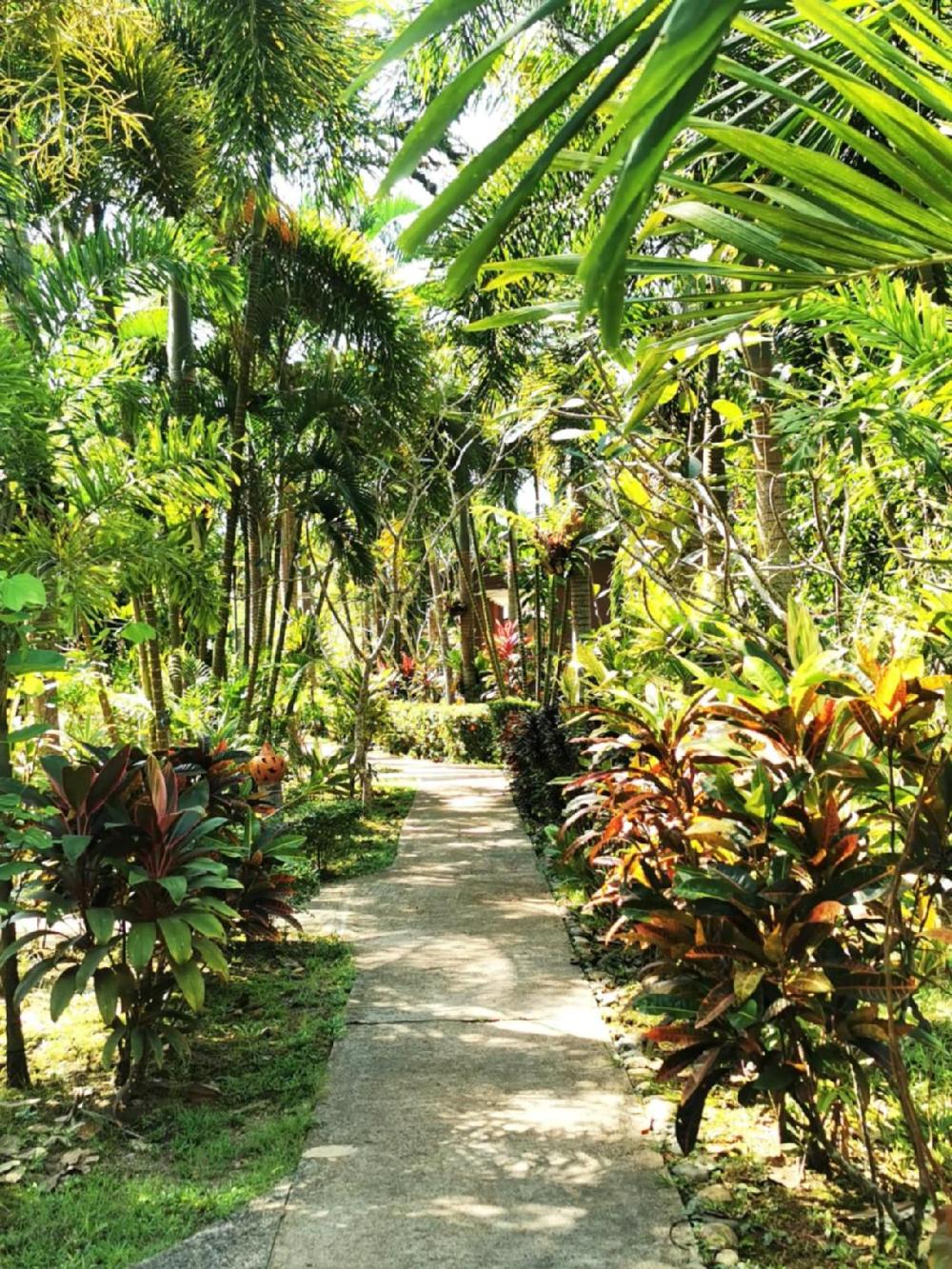 sanook sanang resort