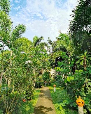 sanook sanang resort