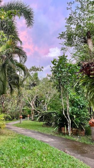 sanook sanang resort