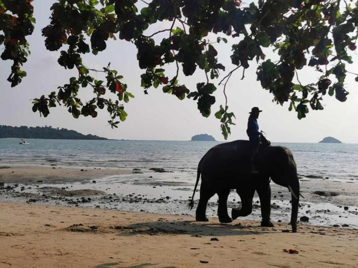 sanook sanang resort