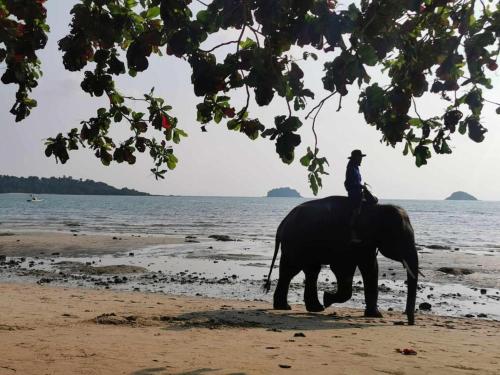 sanook sanang resort