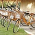 asita eco resort