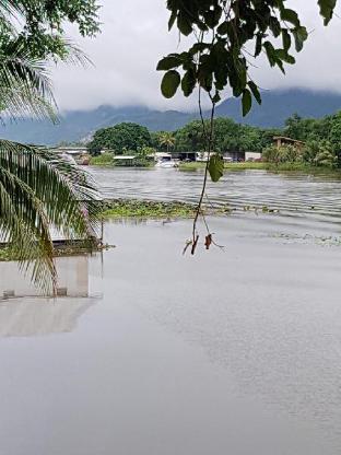 sugar cane guest house 1