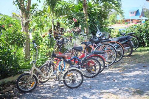 a houses homestay