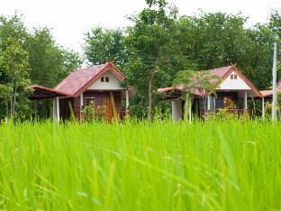 jamsai resort