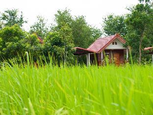 jamsai resort