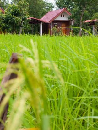jamsai resort