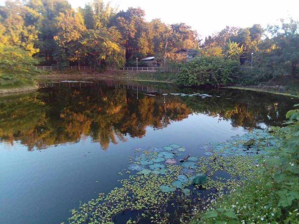 Pagoda Sight Residence,Nan>>Nai Wiang,3 star