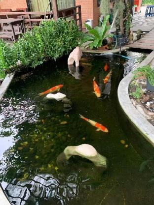 bangchong marina resort