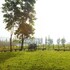 village farm and winery
