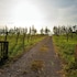 village farm and winery