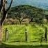 village farm and winery