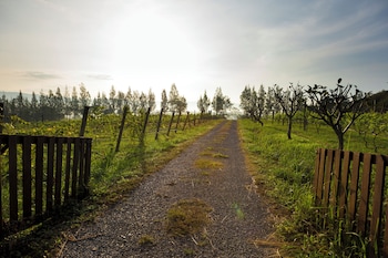 village farm and winery