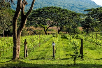 village farm and winery
