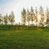 village farm and winery