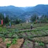 boklua view resort