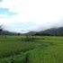 boklua view resort