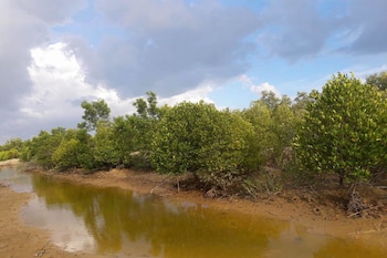 ko lanta
