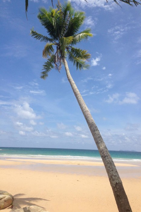 A-Na-Lay Resort Koh Kood,A-Na-Lay Resort Is Conveniently Located In The Popular Hat Khlong Chao Area. The Property Features A,3 star