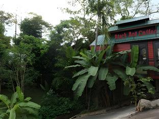pandp coffee and resort mae sariang