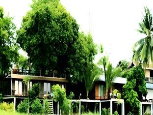 pandp coffee and resort mae sariang