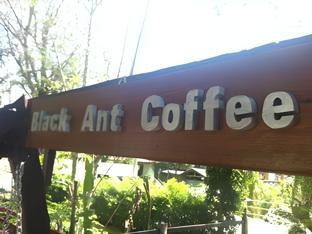 pandp coffee and resort mae sariang