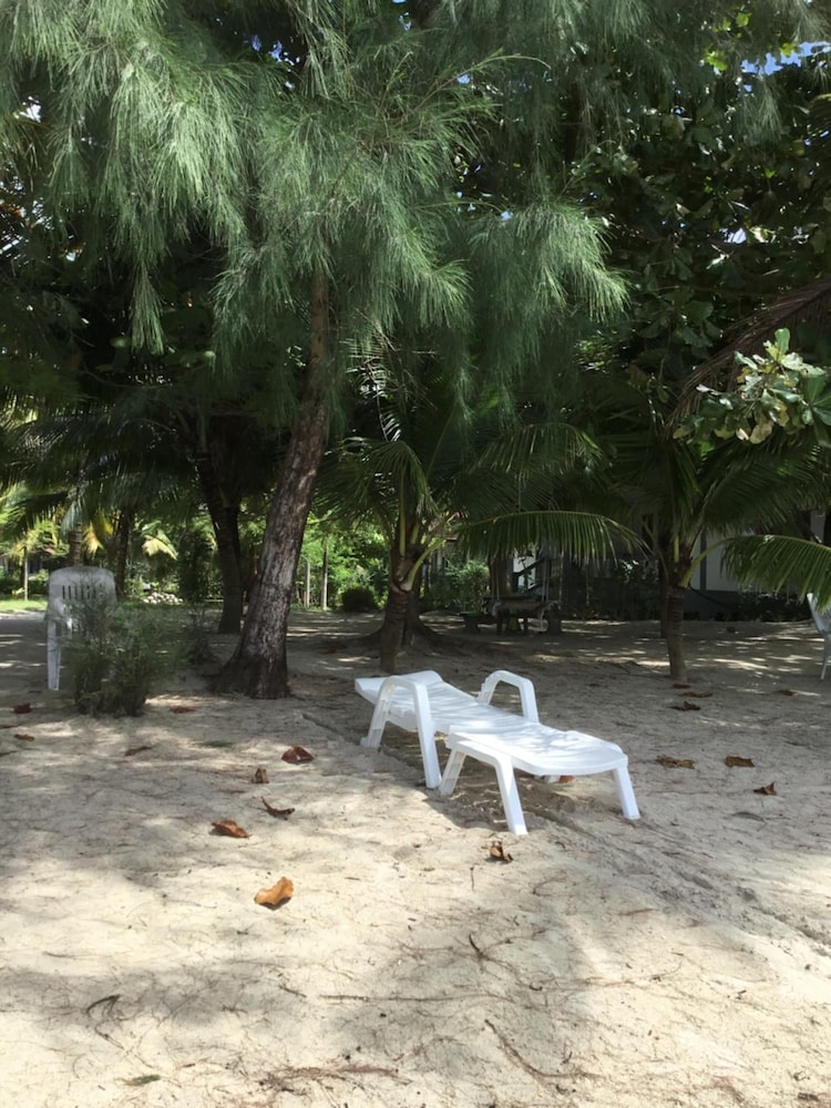 baan wasana