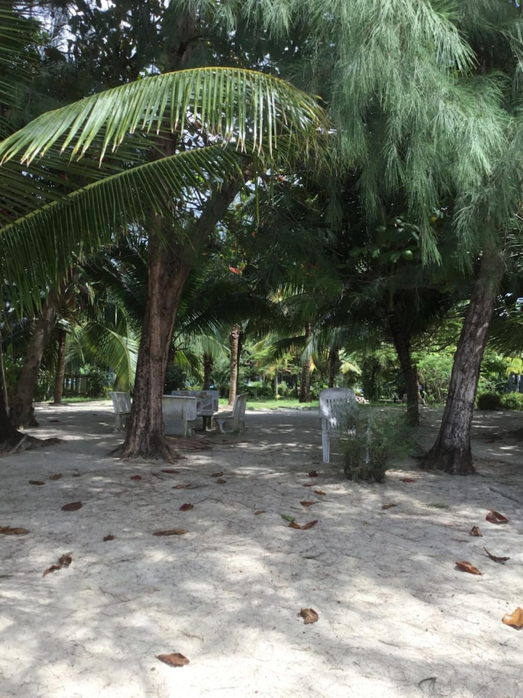 baan wasana