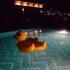 the royal bamboo lodge