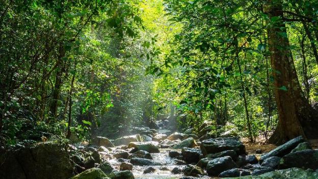 the sixnature resort bangsaen