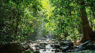 the sixnature resort bangsaen