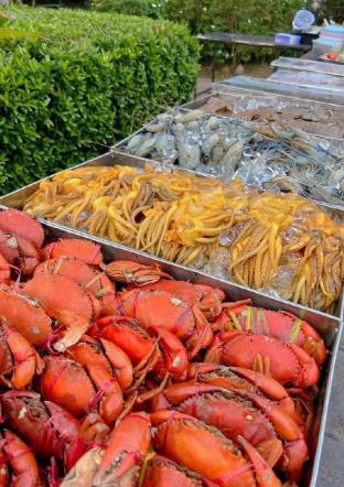 the toy hoteru resort