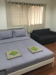 pro chill krabi guesthouse